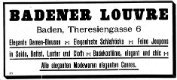Badener Zeitung 05.12.1908 // via anno.onb.ac.at